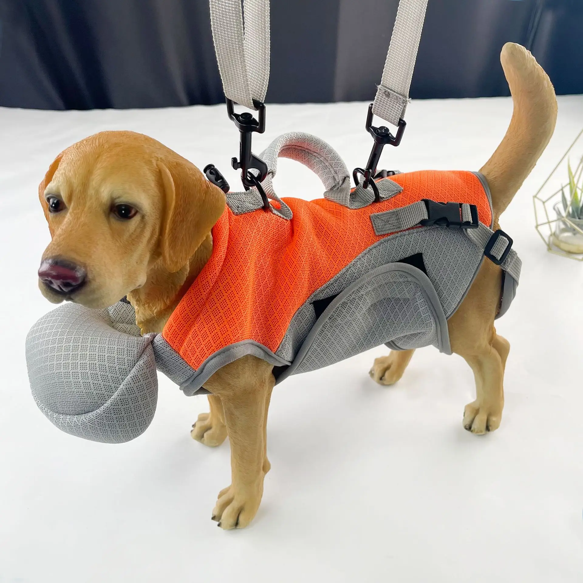 Thumbnail 2 - #9 Trending Puppy Walking Bags Right Now