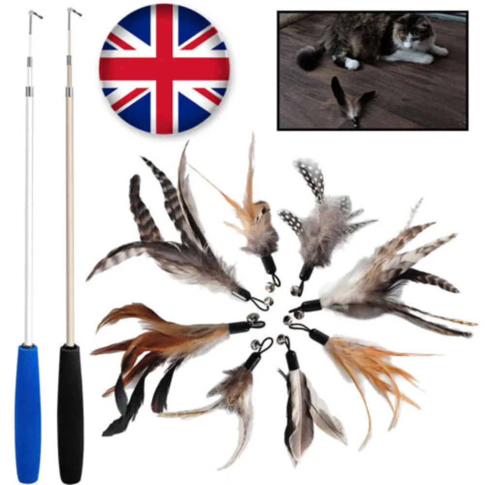 12X Kitten Toy Cat Feather Bell Wand Teaser Rod Interactive Play Pet Toys Gifts