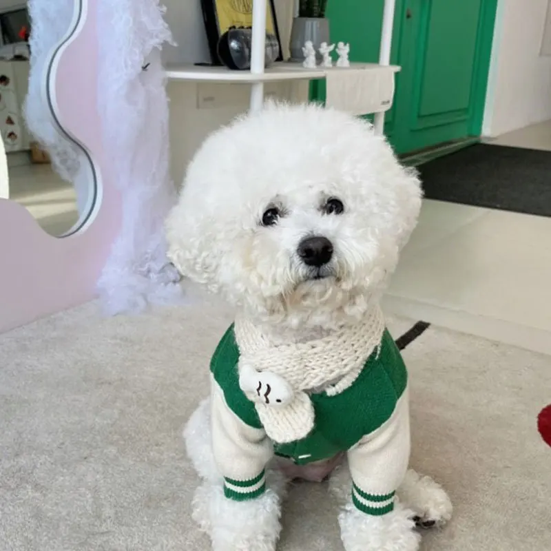 Teddy Sports Sweaters Pet Warm Knitwear Than Bear Letter Pattern Button Up Shirt Popular Two legged Clothes Cute Dog Clothes