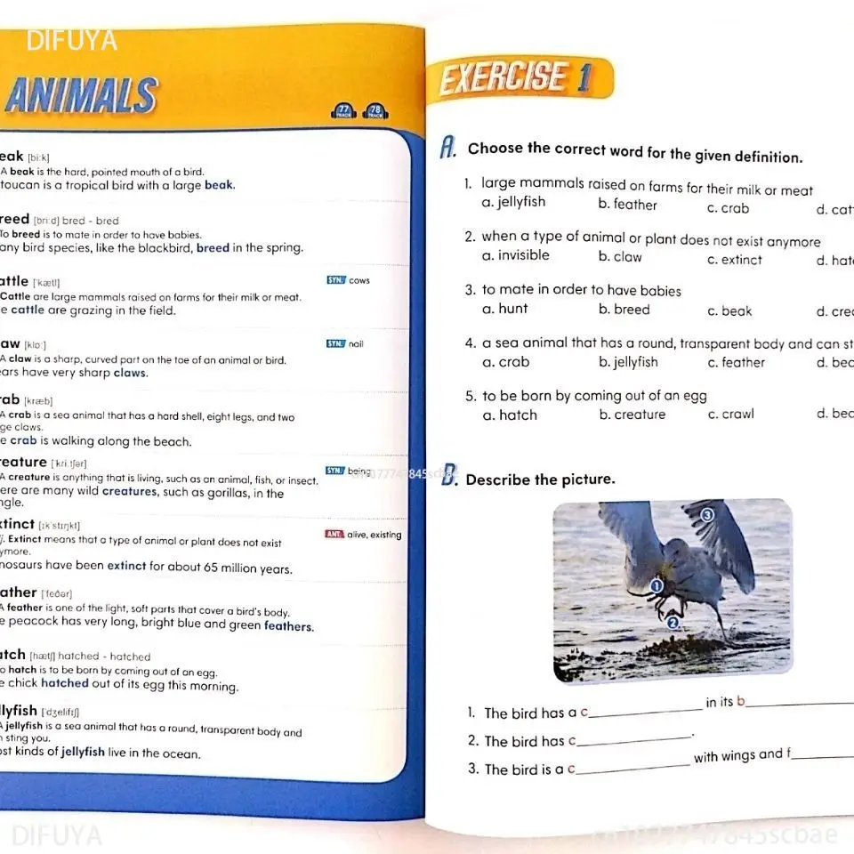 4 كتب/مجموعة 2000 كلمات إنجليزية أساسية للمدرسة الابتدائية قاموس المفردات المشتركة المستوى 1-4 كتب إنجليزية #6