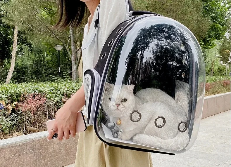 Atmungsaktiver Tragbarer Haustier-Rucksack Transparente Raumkapsel-Tasche für Katzen und Hunde - Haustiertransport mit Komfortgriffen – Detail 15