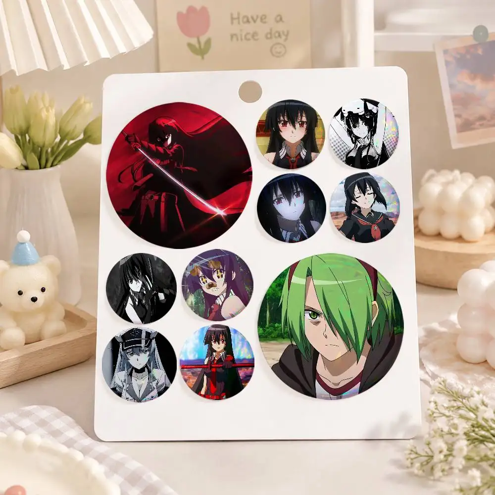 A-Akame Ga KILL Tinplate Brooch Figure Icon Badge Handmade Brooches For Backpack Clothes Decoration