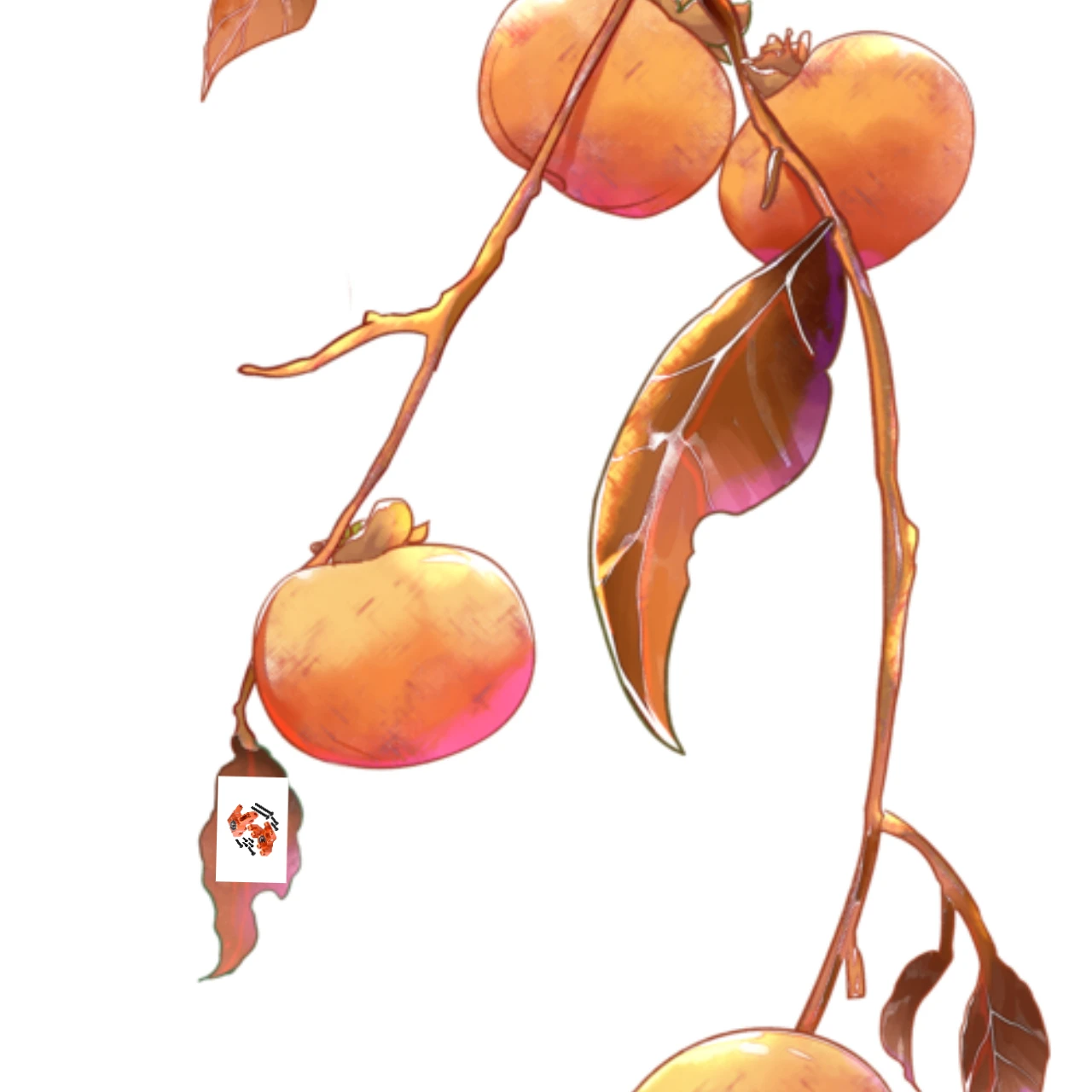 

Комплект передних шпинделей из сплава GPM 7075, для LOSI 1/8 LMT, суцільный мост Monster Truck