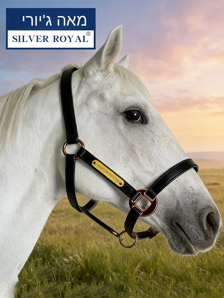 lanceau-d'entrainement-en-cuir-reglable-silver-royal-resistant-au-gel-pour-l'equitation-et-le-fitness