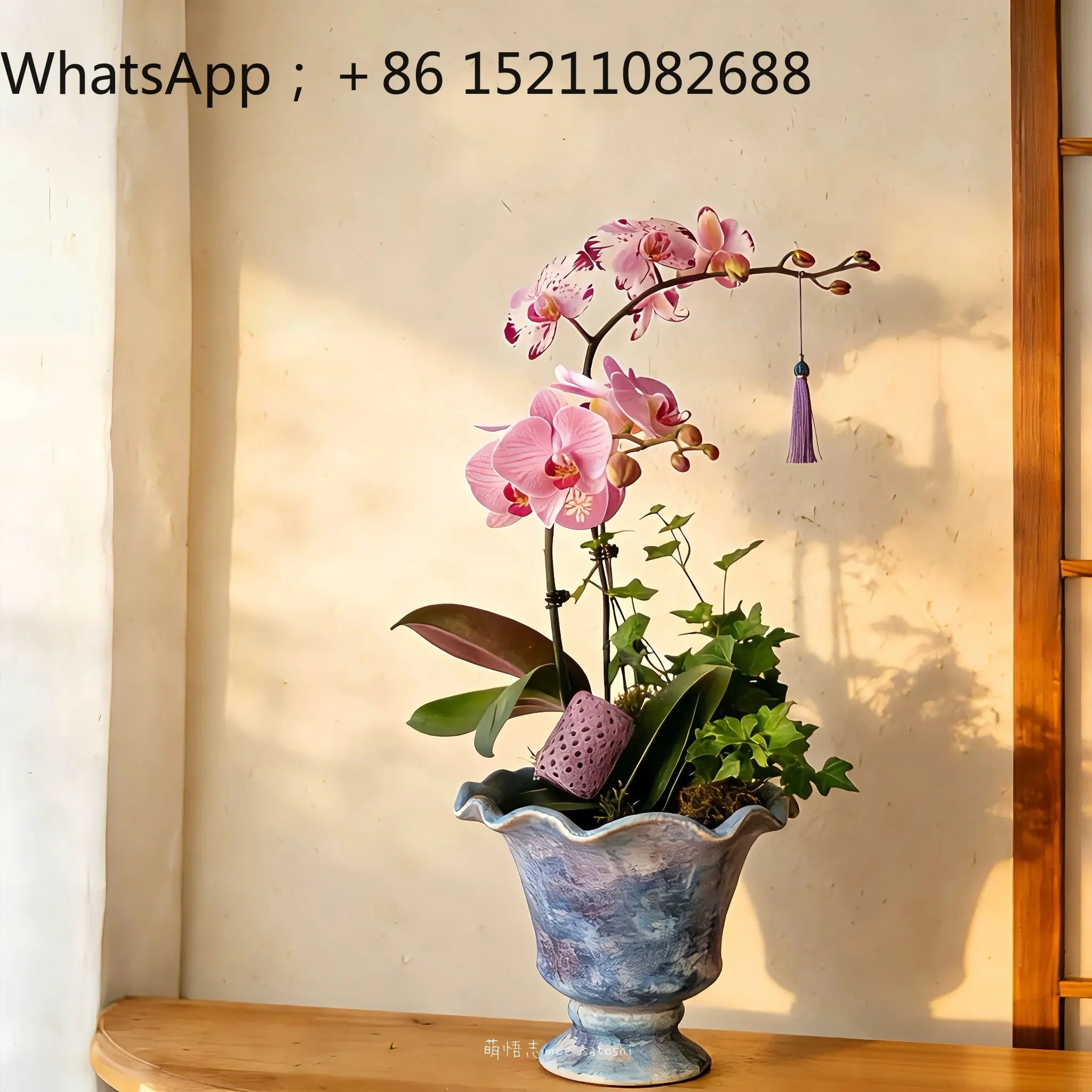 LLY New Chinese Fish Tail Ceramic Flower Pot Indoor Desktop Phalaenopsis Bonsai Decorative Ornament Pocket Orchid