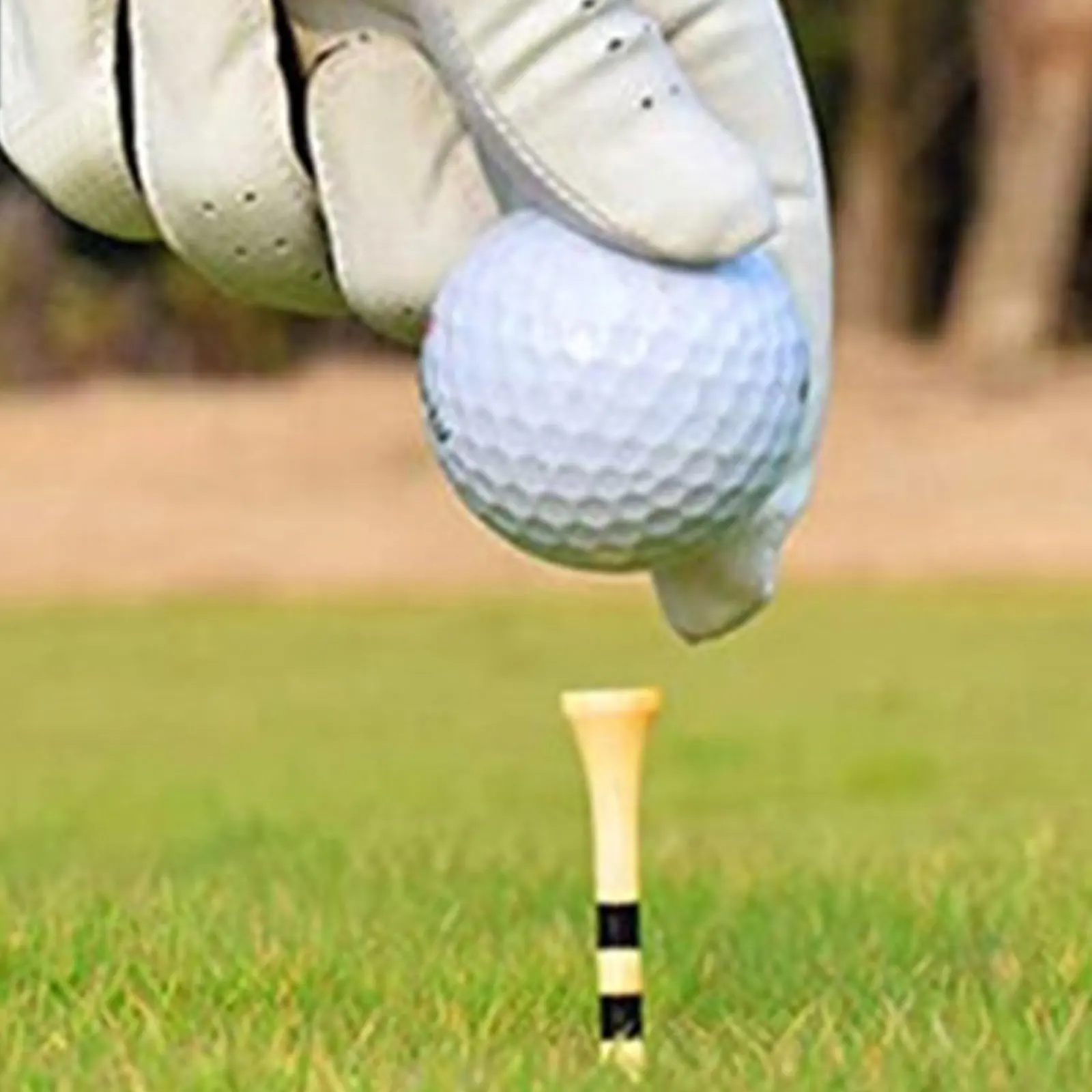 100 Pcs Professional Include Tees Golf Supplies Equipment Ball Stands Holder Spike