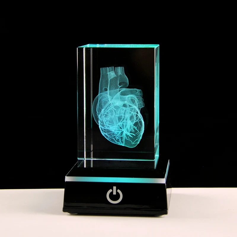 Crystal 3D Laser Heart Anatomy Model Cube Miniature Figurines For Hospital Display Souvenirs