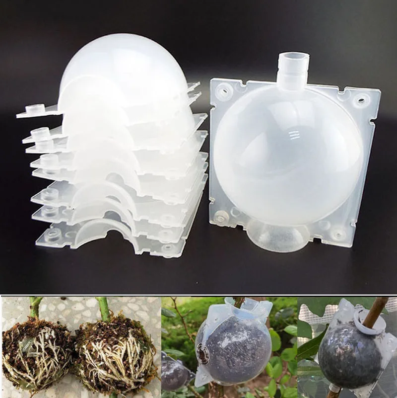 8cm Plant Rooting Grow Box Breeding Case 5pcs Rooting Box High Pressure Gardening Plant Root Device Ball for Garden Grafting D3