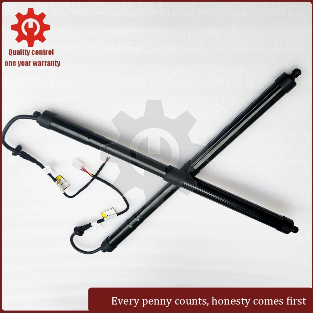 

6892042020 6891042060 Electric Tailgate Lift Struts Gas Spring Support for Toyota RAV4 XA50 (2019-2024)