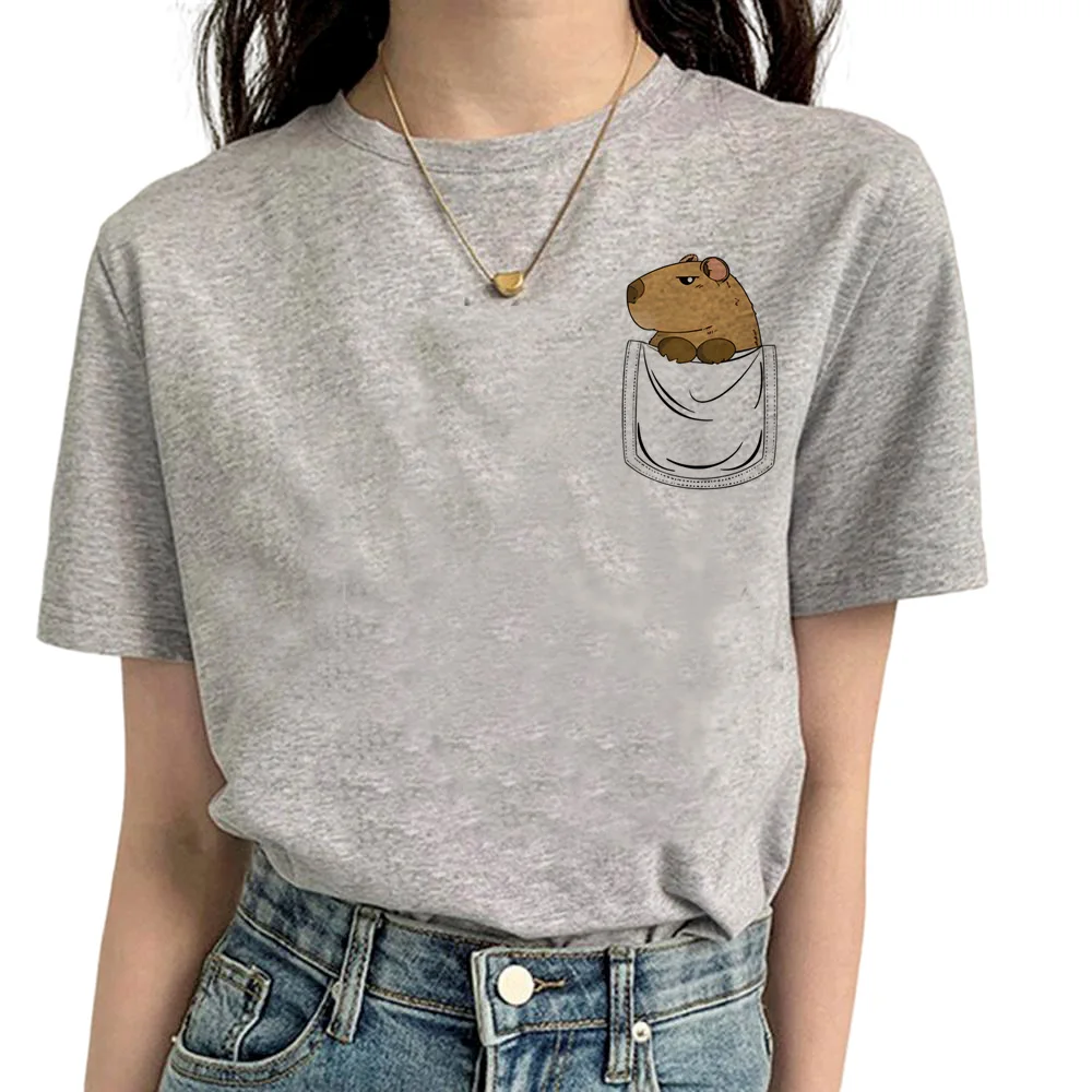 Capybara t shirt women comic streetwear Tee girl streetwear clothing