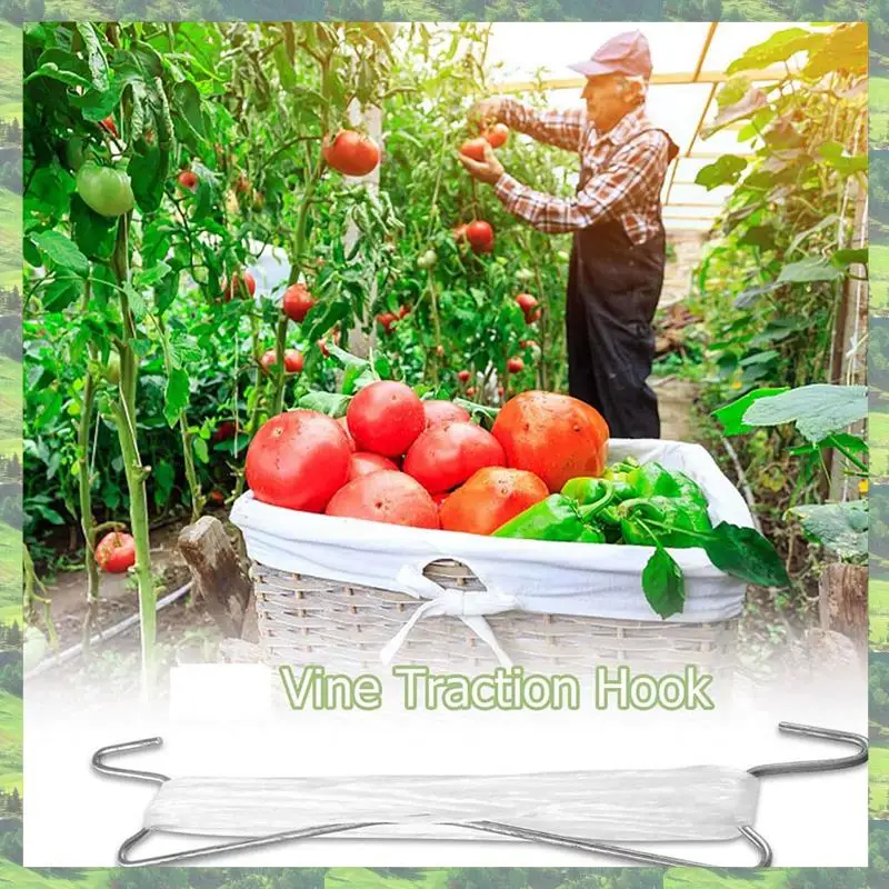 

A59Z-20 Pcs Tomato Hooks Metal Anti-Crush Garden Hooks Plant Tomato Hooks Supports For Planting Tomato,Cherry,Vine Plants,Etc
