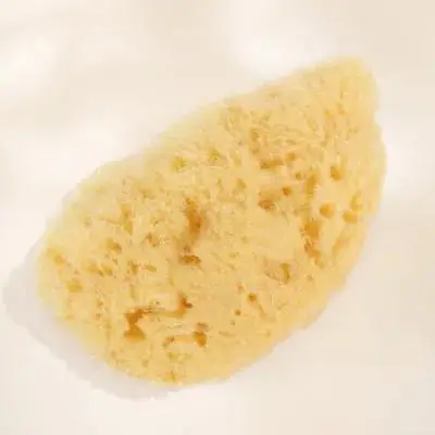 

Watercolor Sponge Tools 20-25mm Random Shape Painting Sponges Supplies Graffiti DIY Watercolor Painting