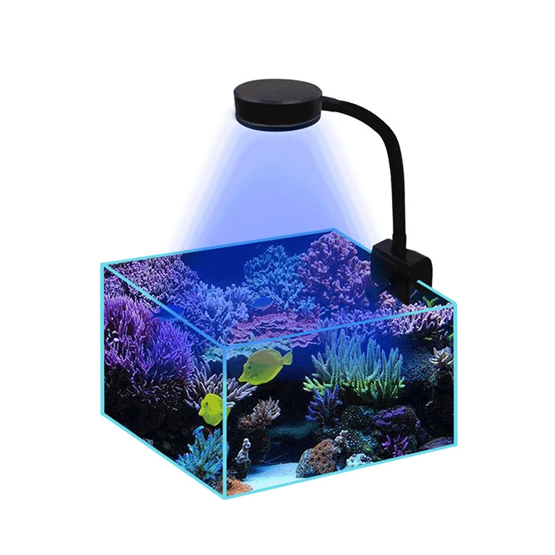 Imagem -05 - Aquário Marinho Led Light Sps Lps Coral Sea Reef Tank Azul Branco Iniciante 100v240v 3050 cm Sea Tank 2024