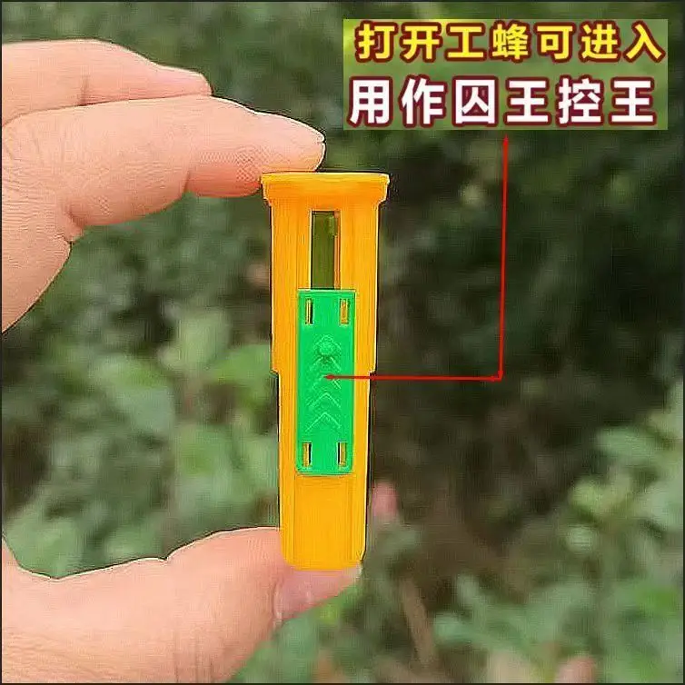 100PCS Multi functional anti escape tool, specifically designed for bees, with a king cage, storage device, and isolation tool