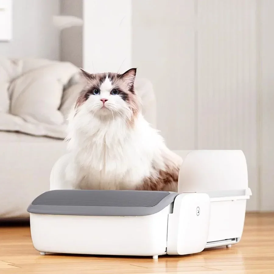 Big Size Covered Cat Litter Box Home Sifter Automatic Cat Litter Box House Large Self Cleaning Modern Arenero Gato Cat Toilet