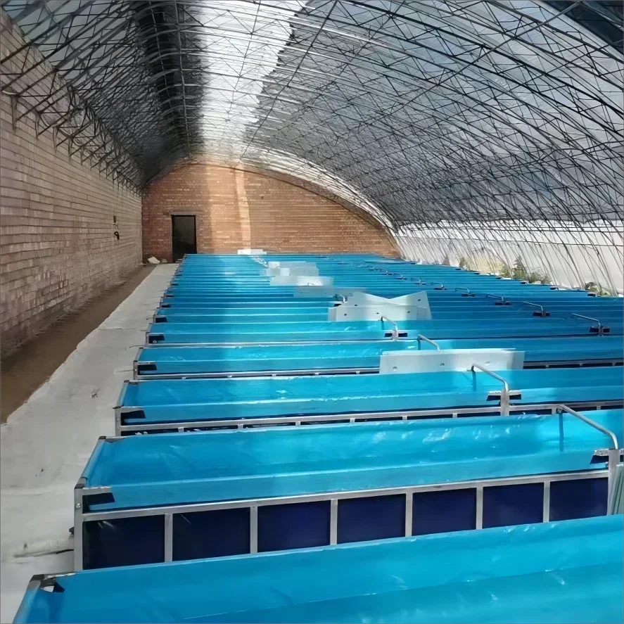 Fish Farm Tilapia Pond Fish Breeding Pool Tank Above Ground Tarpaulin Farming Cage Basin For Fish Farming