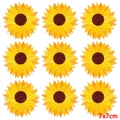 PE9046CT