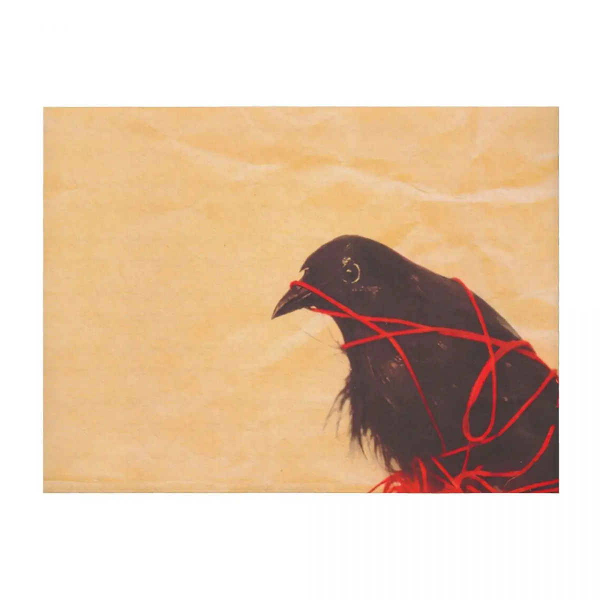 

Transatlanticism 2003 Throw Blanket warm for winter funny gift Flannel Fabric Thermal Blankets