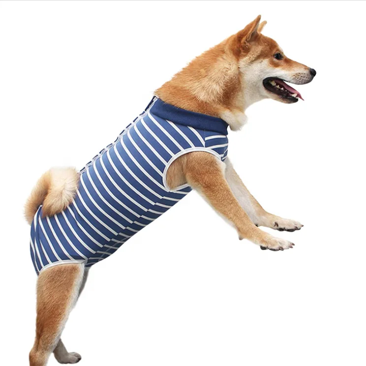 Bandages Cone E-Collar Alternative Professional Protective Shirt Pet Operative Jumpsuit Dog Cat Spay Surgery Surgical Recovery