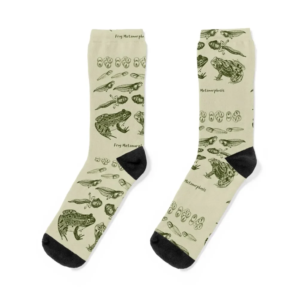 

Vintage Biology: Frog Life Cycle Metamorphosis from Toad to Tadpole for Science Lovers and Natural History Enthusiasts Socks