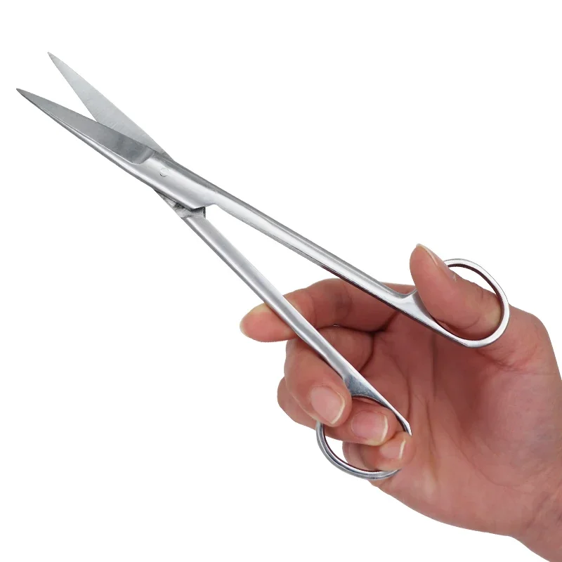 Stainless Steel Dental Surgical Pull Straight / Curved Head Surgical Forced Dentist Dental Instruments 12.5 / 14 / 16 / 18cm