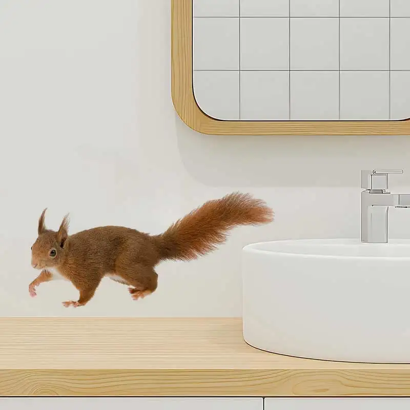 Cute Squirrel Wall Sticker Bathroom Toilet Decor Living Room Cabinet Refrigerator Home Decoration Decals Stickers M1552