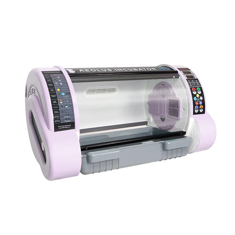 Egg Veterinary Control Medical Equipment Dog Cat Hatcher Animal Brooder Incubateur Pet Incubator for Sale