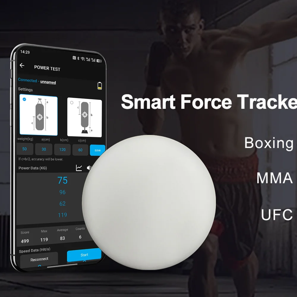 #19 Punching & Training Bags Comparison Guide