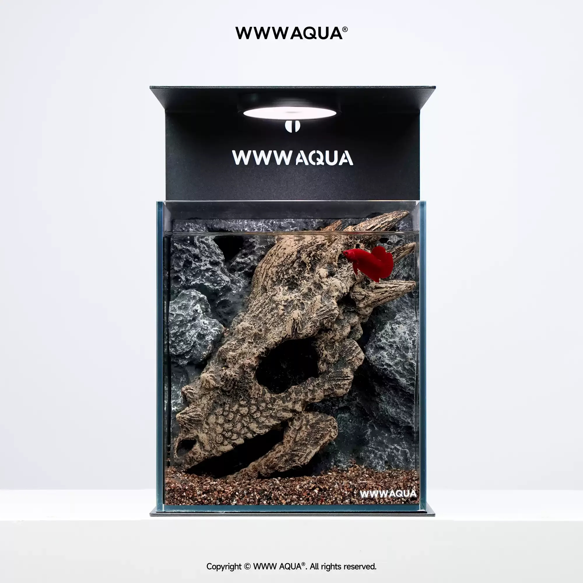 Universe Grocery Store Ancient Fossil Series Longmeihua Ultra-clear Glass Betta Tabletop Landscape Fish Tank