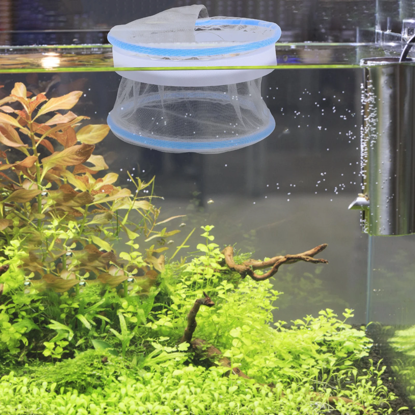 

2Pcs Breeding Isolation Box Transparent Floating Hatchery Aquarium Tank Small Net Fish Kit Pond Breeder Guppy Incubator Mesh