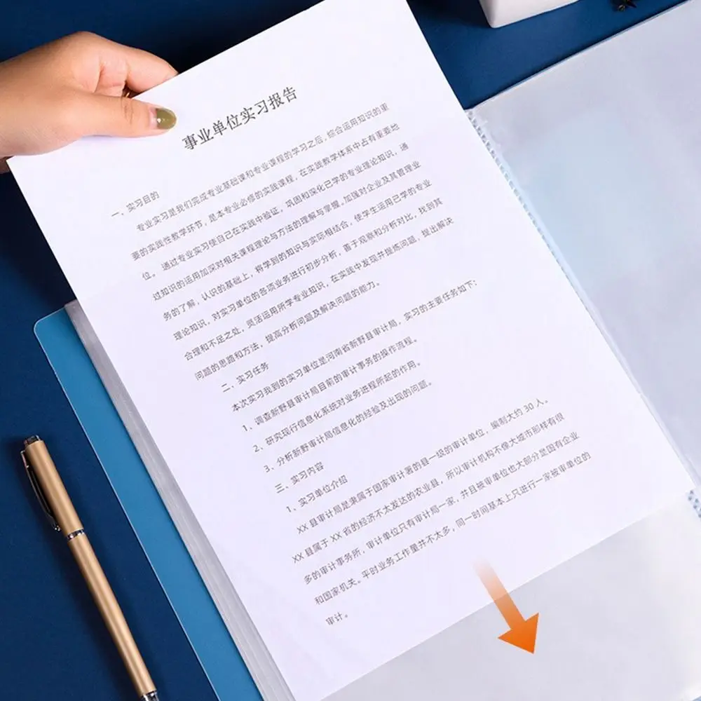 Simple 20/30/40/60/100 Pages A4 File Folder Multilayer Large Capacity Archives Bag Waterproof Multifunctional File Bag Student