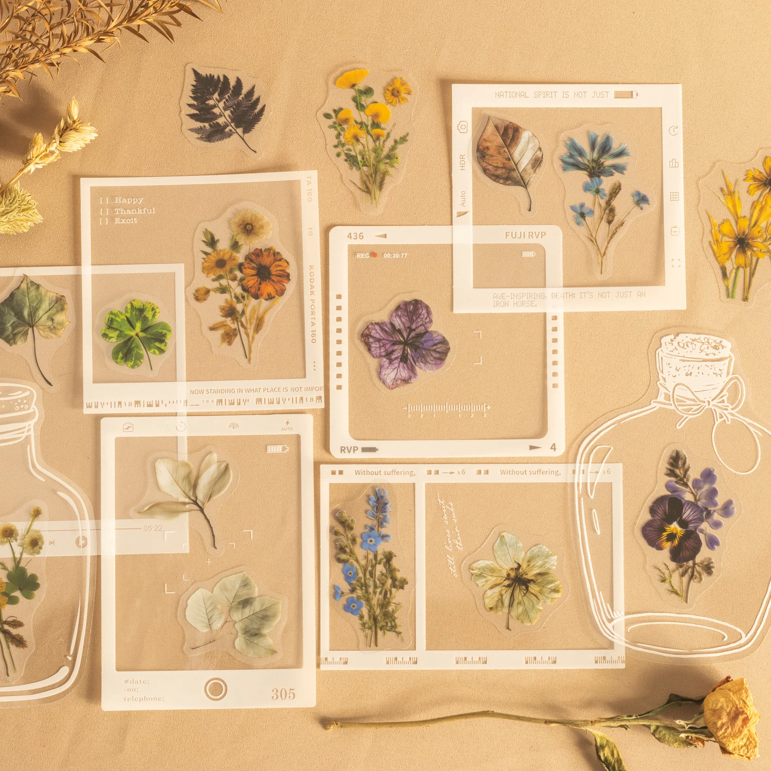 Prelude To Dried Flower Series Vintage Plant Floral Landscape PET Sticker Creative DIY Journal Material Collage Stationery