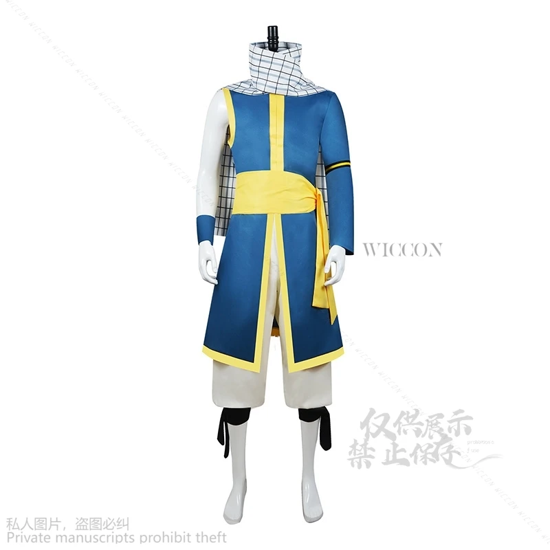 Natsu Anime Cosplay Costumes pour hommes, perruque rose, queue, déguisement pour garçons, adulte, cosplay masculin, fantaisie, Halloween, nickel é, 100 ans