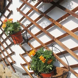 Wall Hanging Plant Shelves, Thick Sheet, Horizontal Stretching Grid Decoration, Wood Shelving, Outdoor Flower Stands