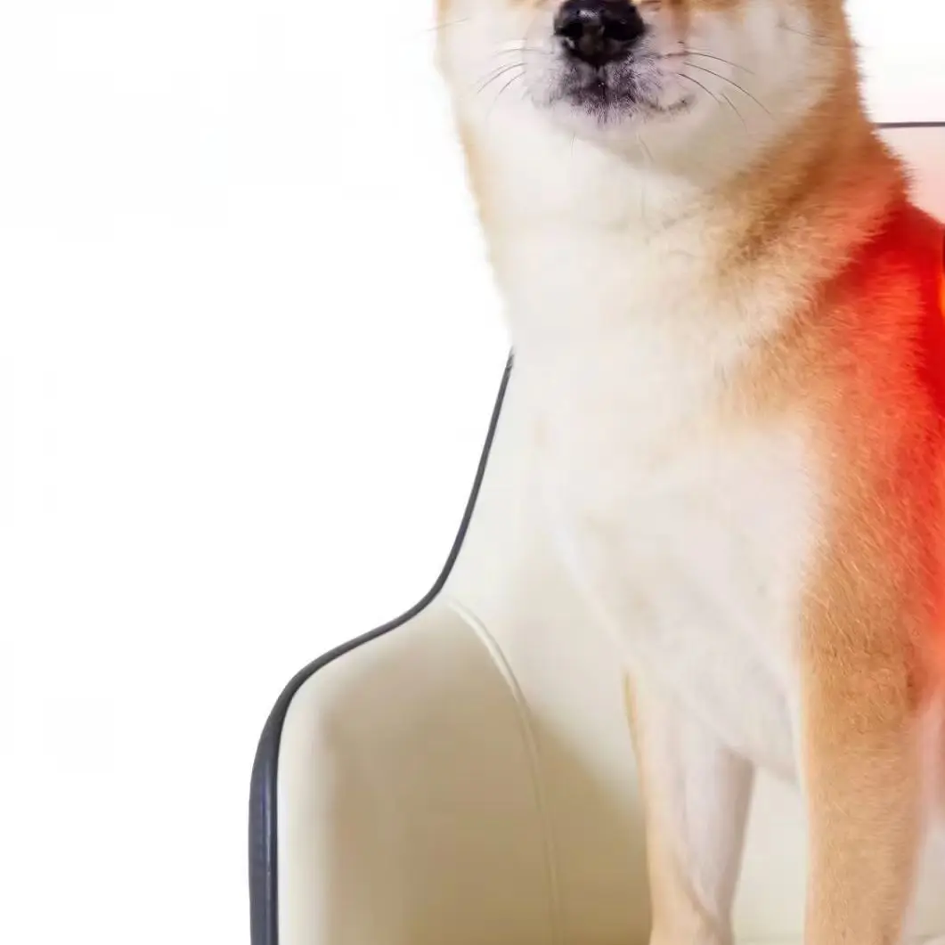 

Портативный лазерный аппарат с 25 диодами для снятия боли у животных: для лошадей, собак, кошек, для расслабления мышц и заживления