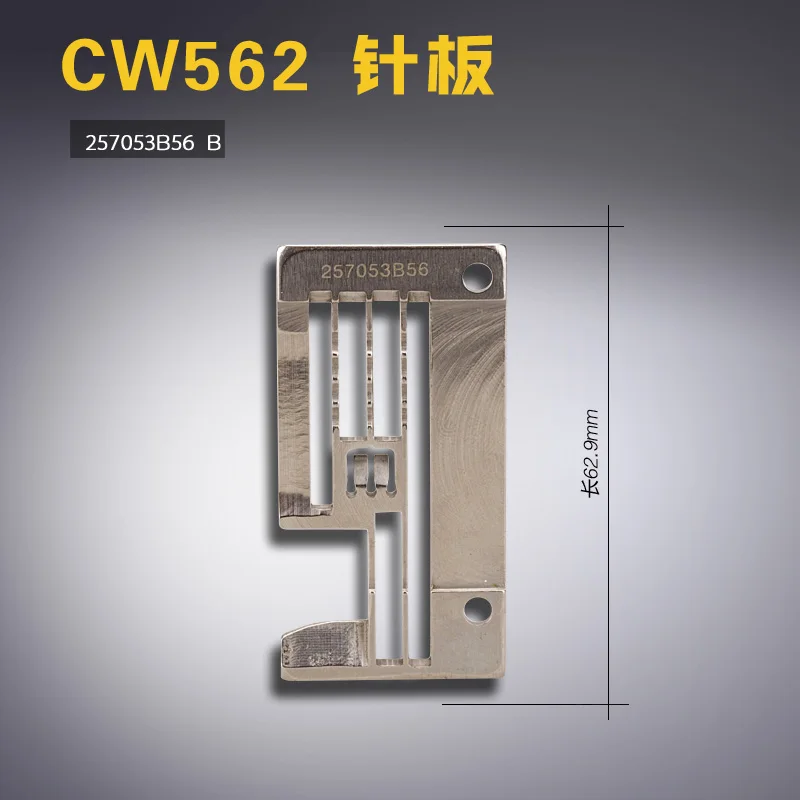 257053B56 B Pegasus… - image