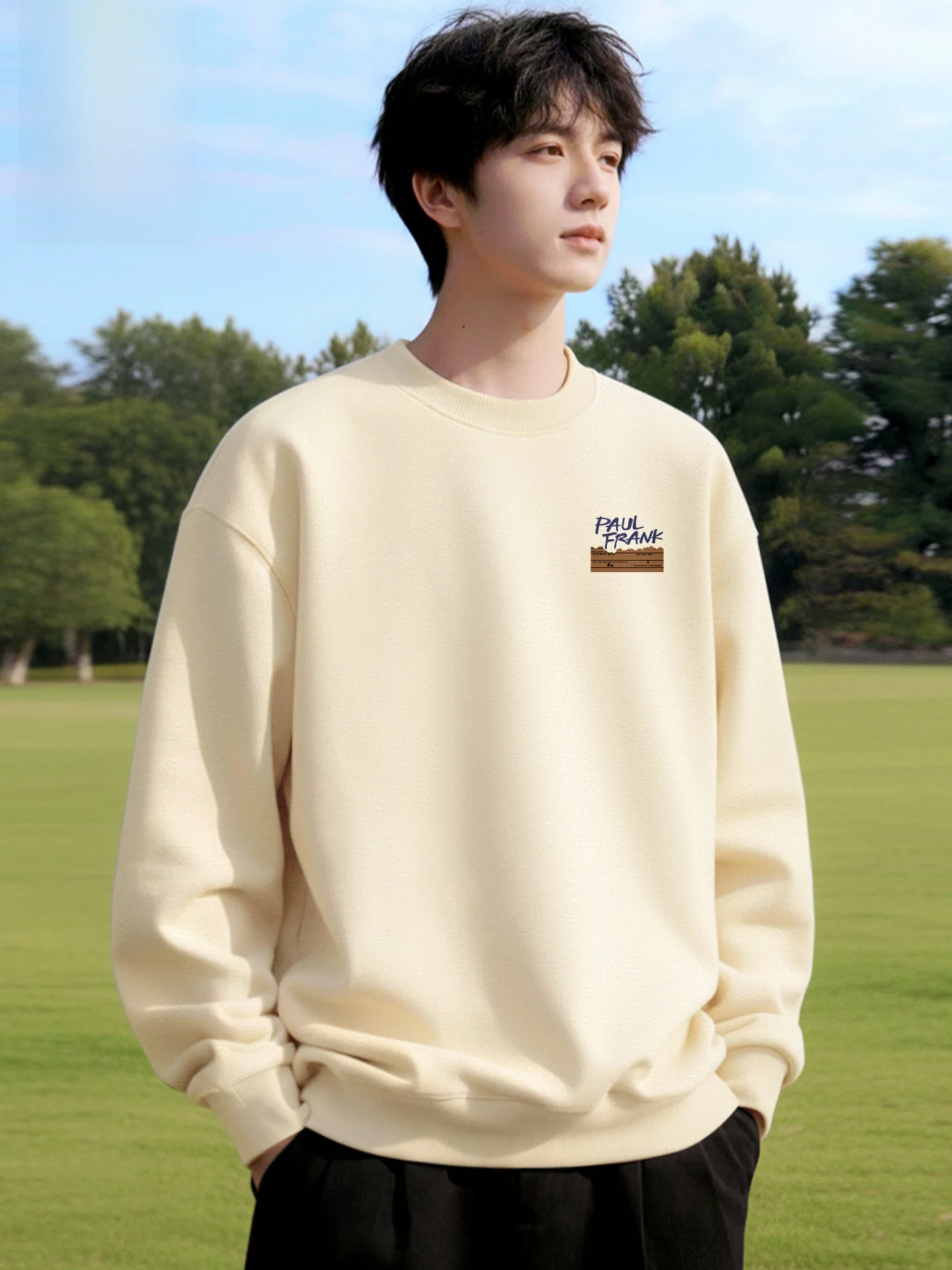 

Плотный свитшот с круглым вырезом и длинными рукавами, простой дизайн, для подростков, весенняя верхняя одежда, повседневный стиль, хлопок