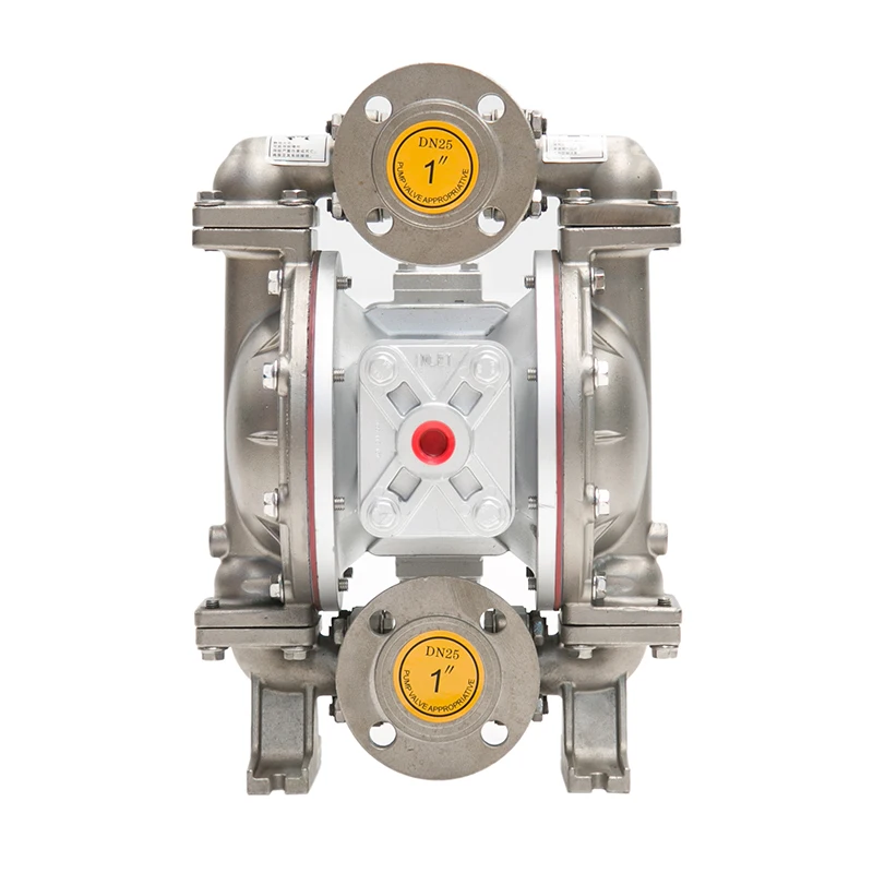 Pneumatic Stainless Steel Diaphragm Pump With Flange Connection Low Pressure OEM Customizable Model S1FB1S2TYBS000