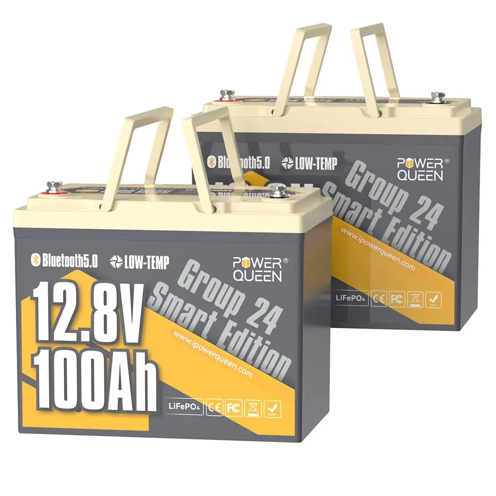 12V 100Ah LiFePO4 Battery 2Pack Group 24 Deep Cycle Rechargeable for RV Marine Solar Off-Grid, Customized