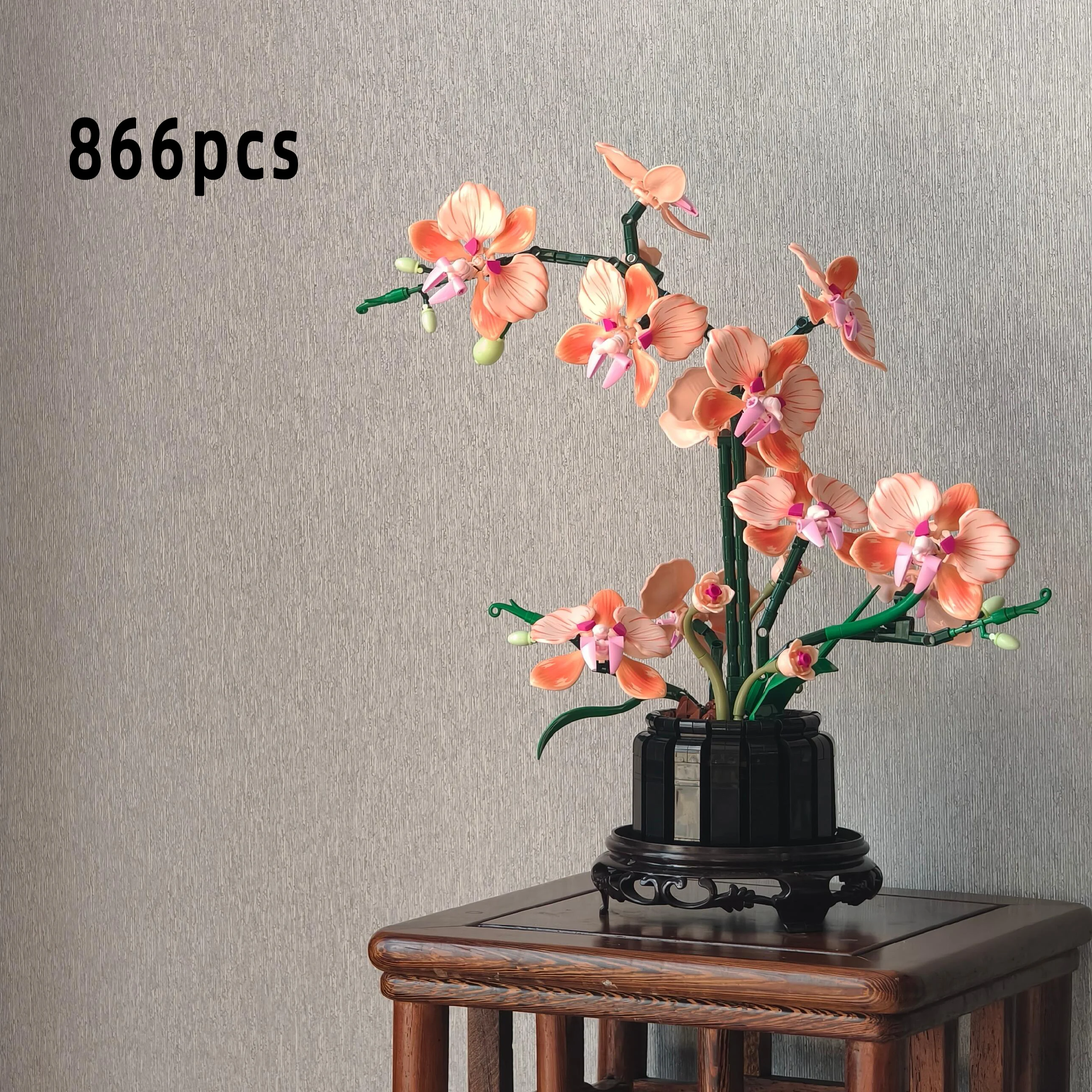 Orange Phalaenopsis Orchid Bui - Orchid Phalaenopsis recension och pris