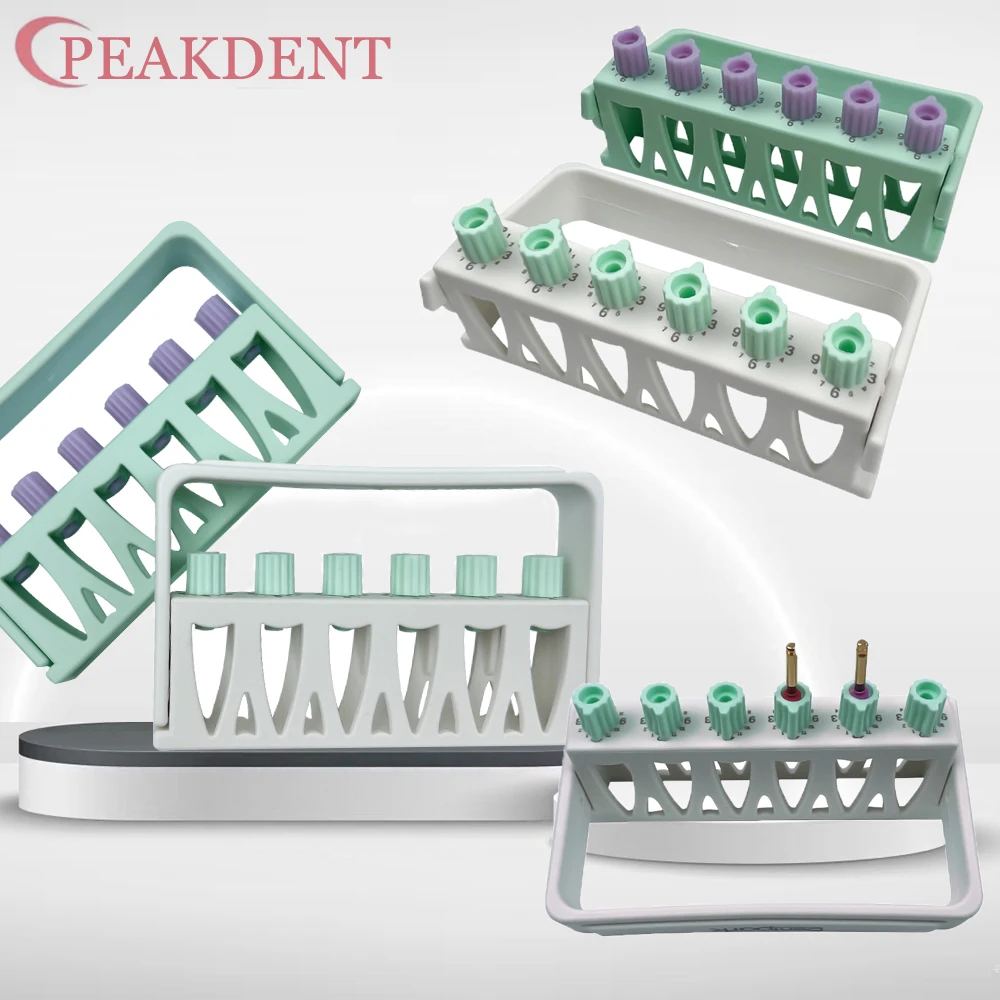 

6-луночная стоматологическая автоклавируемая дезинфекция, время записи, эндофайлы, держатель, коробка, инструмент, эндодонтическая дрель, подставка, инструмент для стоматолога корня