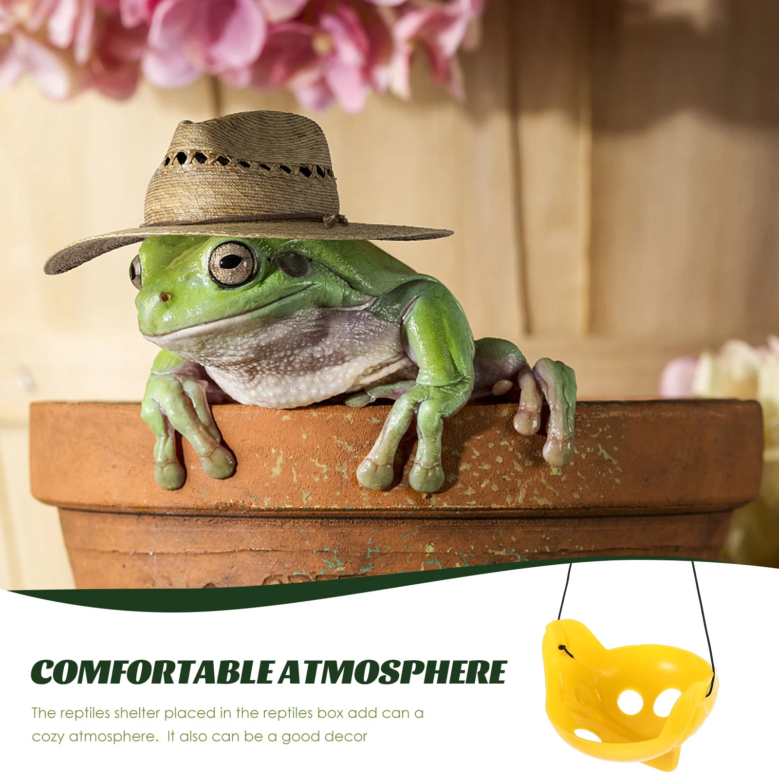 

Amphibians Aquatic Frog Rest Platform Reptile Shelter Terrarium Decoration Habitat Terrarium Rest Platform