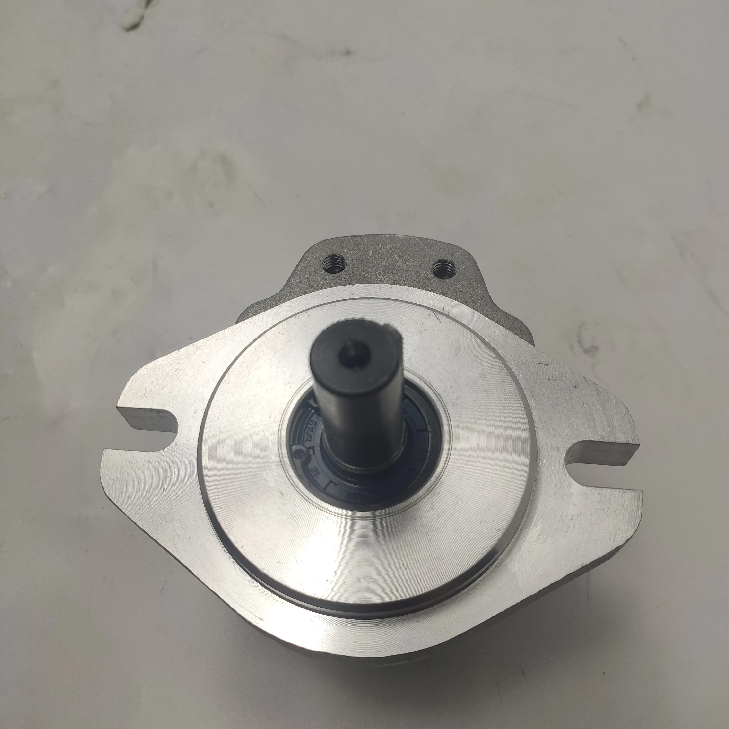 CHENGYUAN G5 Series Hydraulic Gear Pump Oil Pump GM5-20-AF13R-20 GM5-25-AF13S-20 Hydraulic Gear Pump