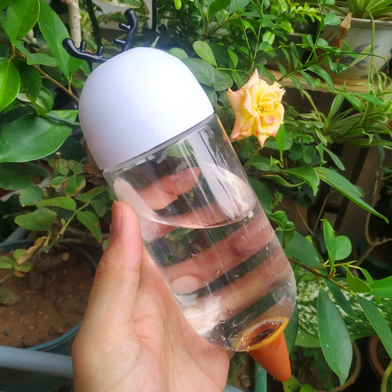 

Plant Waterer Self Watering Globes Self Watering Spikes Plant Indoor & Outdoor