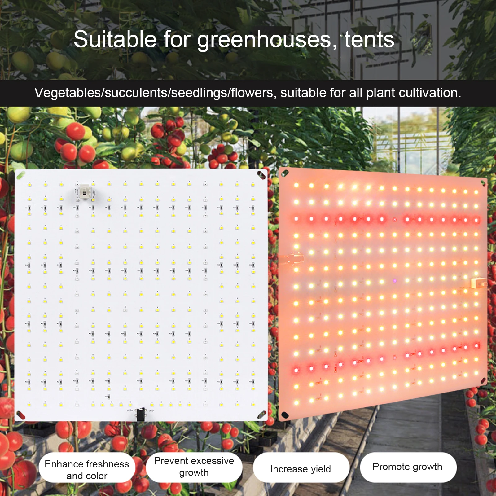 ضوء نمو النبات LED ضوء ملء عصاري الطيف الكامل نمو النبات ضوء IP20 تصنيف مقاومة للماء تصميم تبديد الحرارة #3