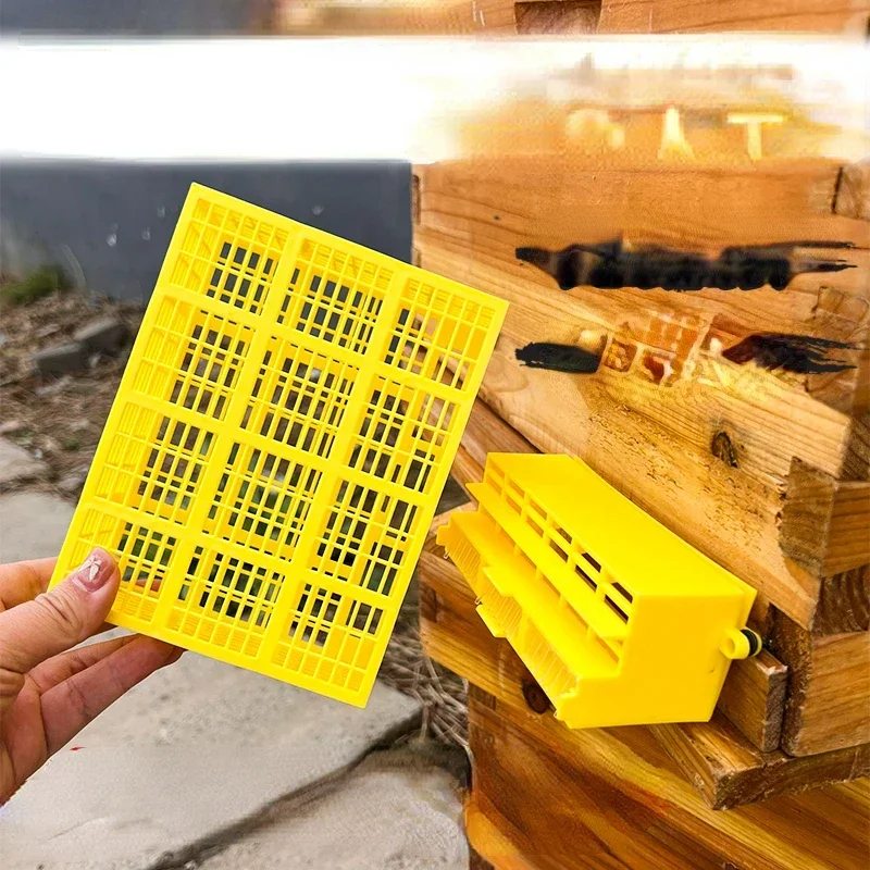 

Automatic bee separator to remove male bees and prevent queen bees from flying and escaping