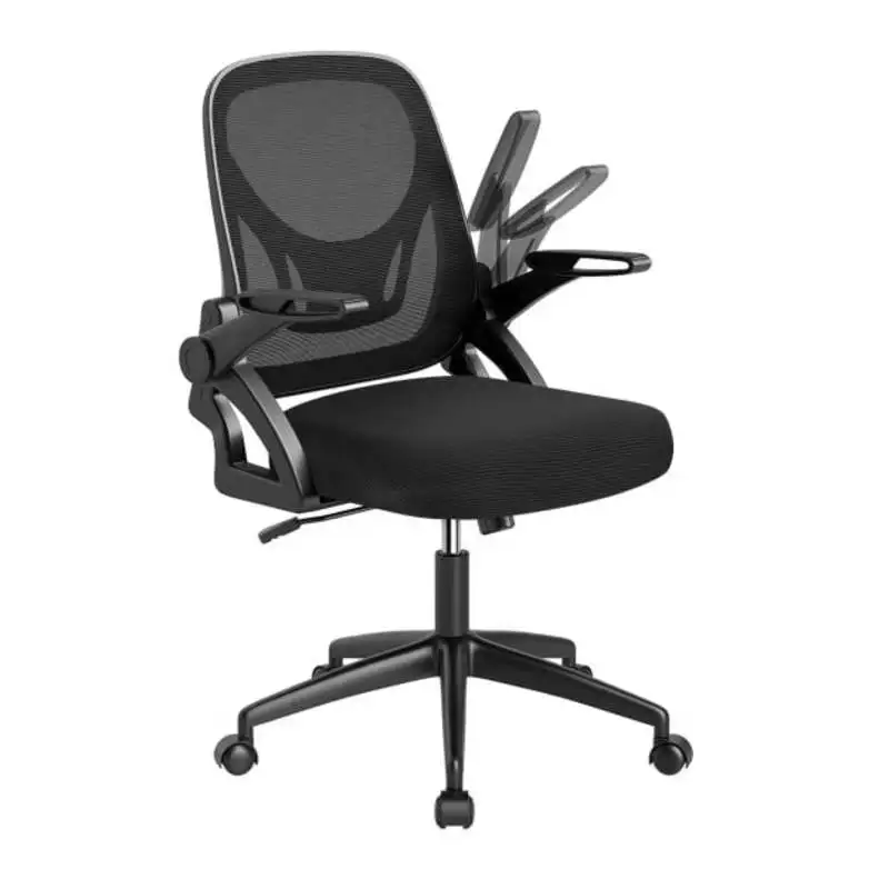 

Ergonomic Computer Desk Chair with Lumbar Support and Flip-up Arms-Black