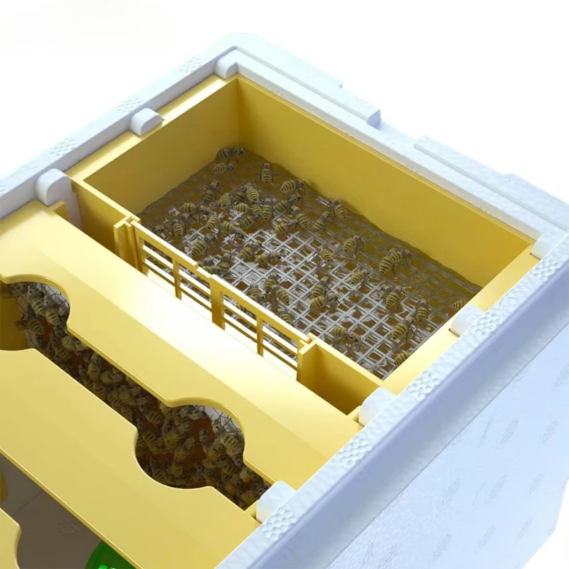

Beekeeper Supplies Queen Bee Breeding Mating Beehive