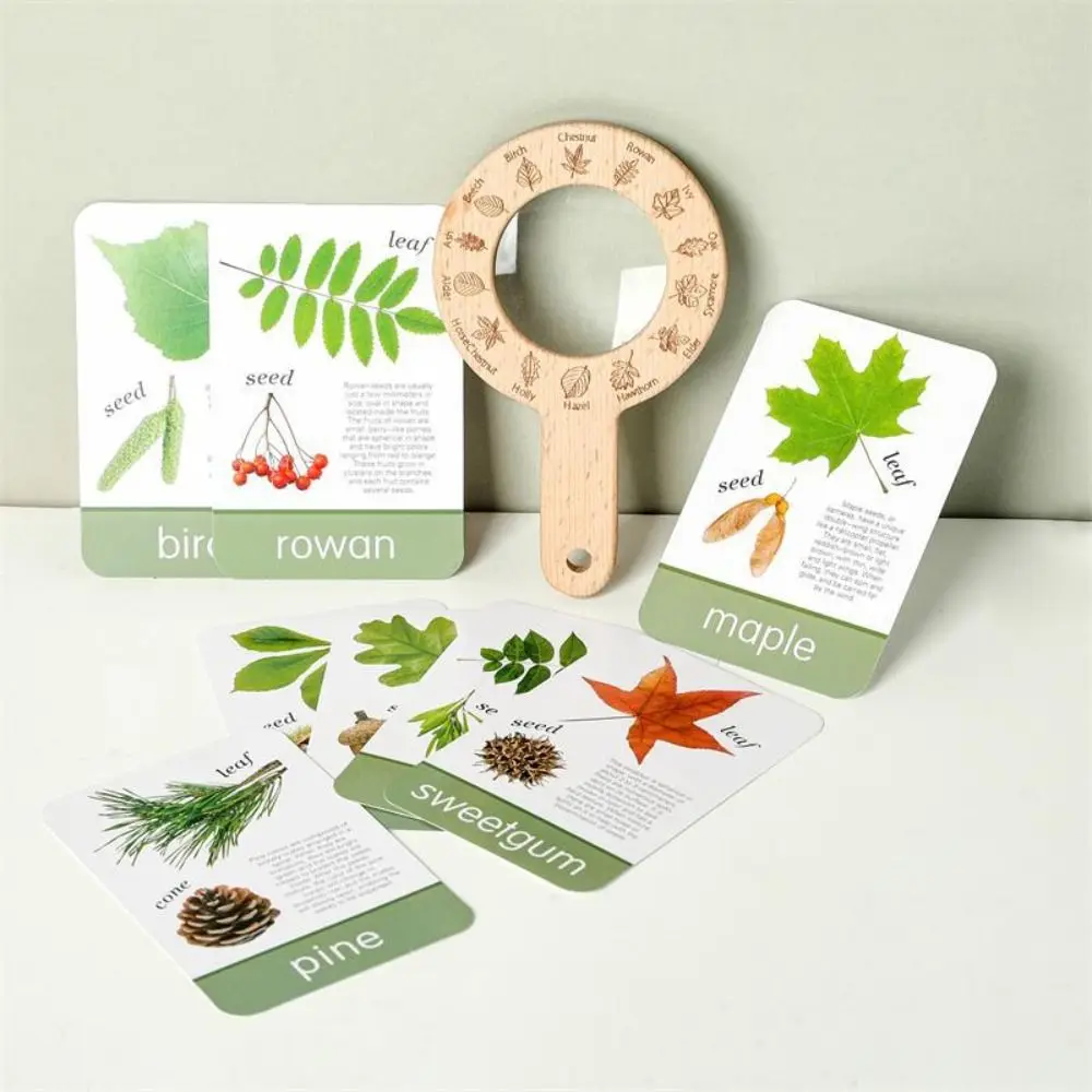 Montessori เด็กกลางแจ้ง Explorer เครื่องมือของเล่นเพื่อการศึกษาไม้แว่นขยายของเล่นสํารวจสติปัญญา