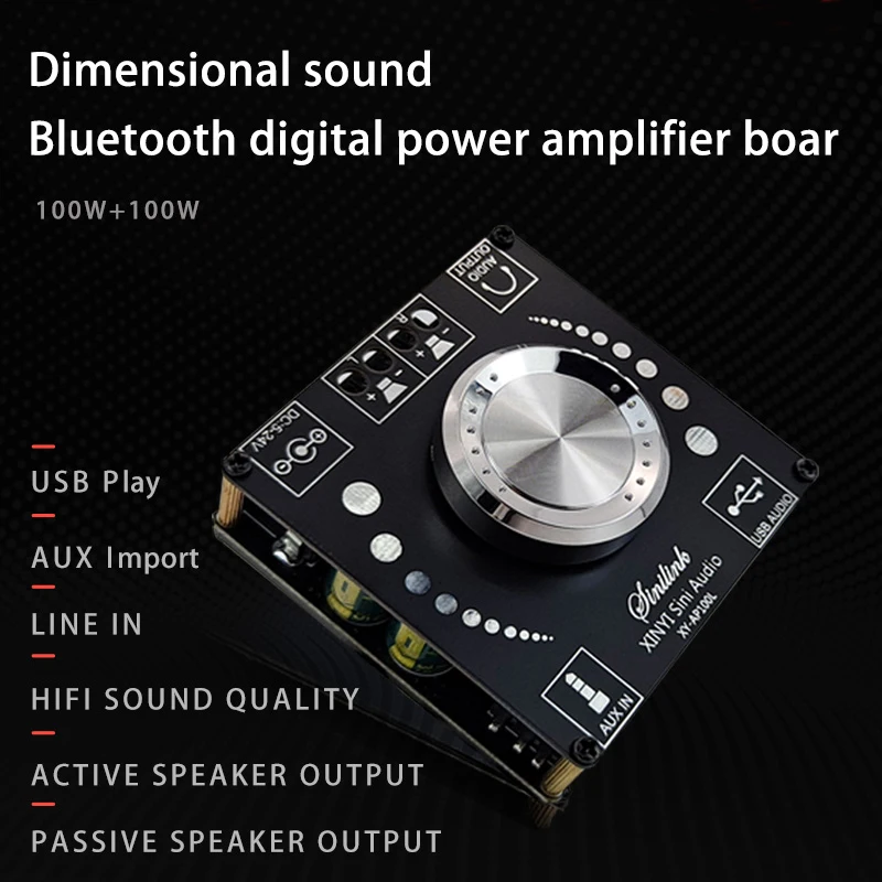 100W+100W Bluetooth 5.0 Stereo Amplifier Board AUX USB Sound Card Digital Power Amp Amplificador DC 12V 24V AP100L